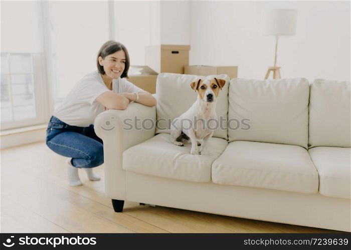 Happy brunette female in casual wear, leans on side of white sofa, pedigree domestic dog poses on couch in empty apartment near woman owner, unpacked boxes in background. People and home concept