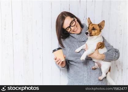 Happy brunette female model wears warm knitted sweater, glasses, carries her favourite dog and takeaway coffee, going to have walk together, have good friendly relationships. People and pets concept