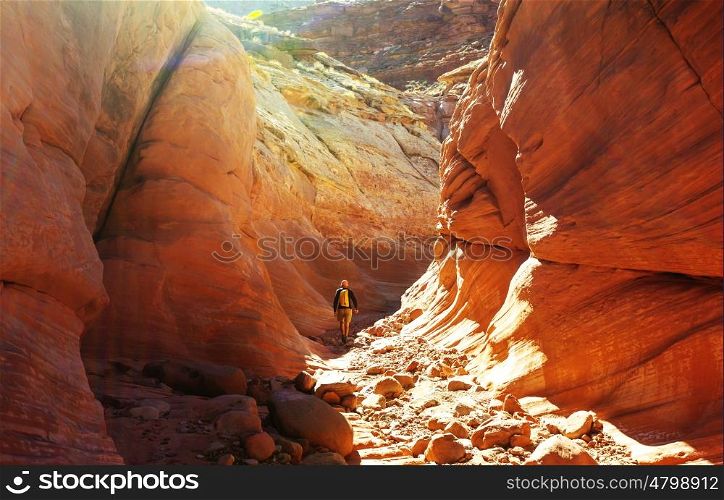 Happy Canyon fantastic scene. Unusual colorful sandstone formations in deserts of Utah are popular destination for hikers.