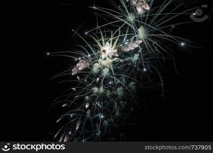 happy celebration Firework. Many Stars in sky. happy celebration Firework