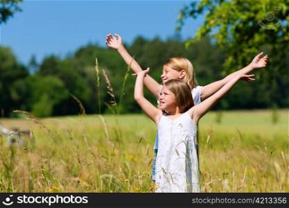 Happy children in a meadow in summer