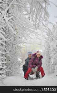 Happy children sliding in winter vacation