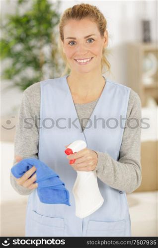 happy cleaner with spray and cloth