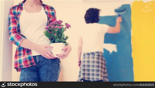 Happy couple doing home renovations, the man is painting the room and the woman hold the pot with flowers