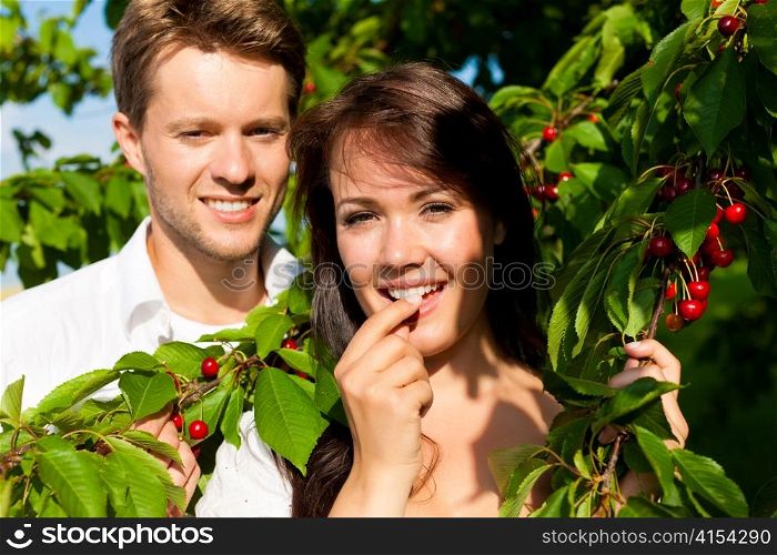 Happy couple eating cherries in summer in a garden