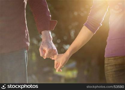 Happy couple in the autumn park holding hands looking in the sunset, valentine concept.