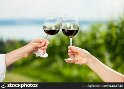 Happy couple - man and woman, only hands to be seen - drinking wine at lake in summer