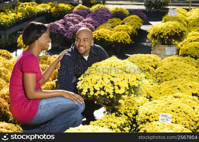 Happy couple picking out fall flowers at outdoor plant market.