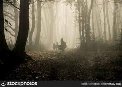 happy dog and owner in foggy forest