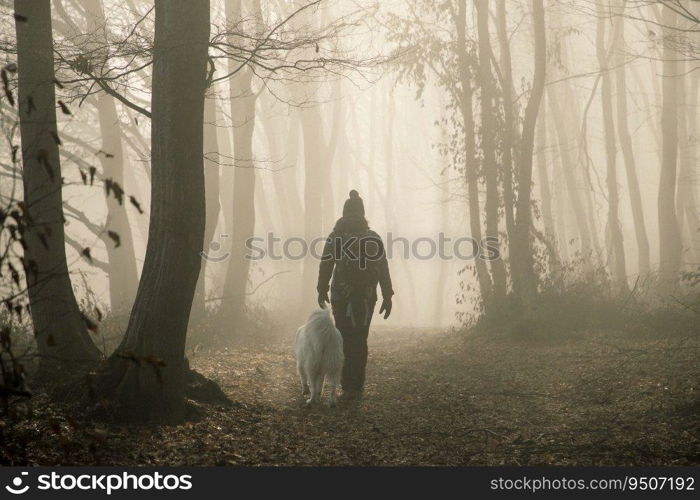 happy dog and owner in foggy forest