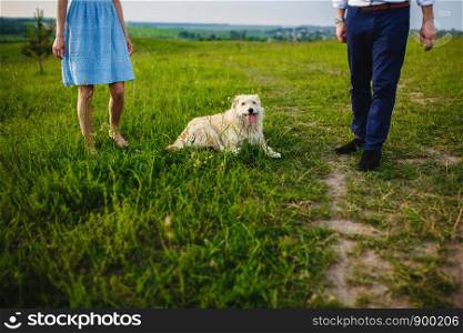 happy dog is having a rest with the owner in the nature. happy dog is having a rest with the owner in the nature. have fun with her dog in park