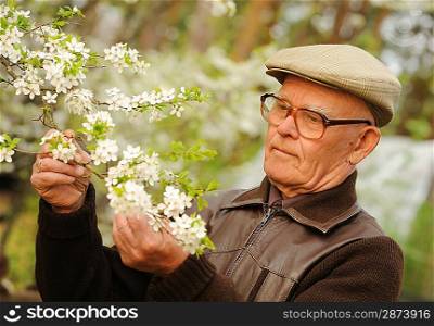 Happy elderly man in a garden
