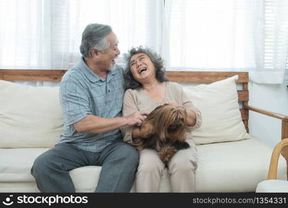 Happy elderly senior asian couple sit on sofa together with pet therapy in nursing daycare,Retired man and woman holding dog while sitting on couch in living room at home.
