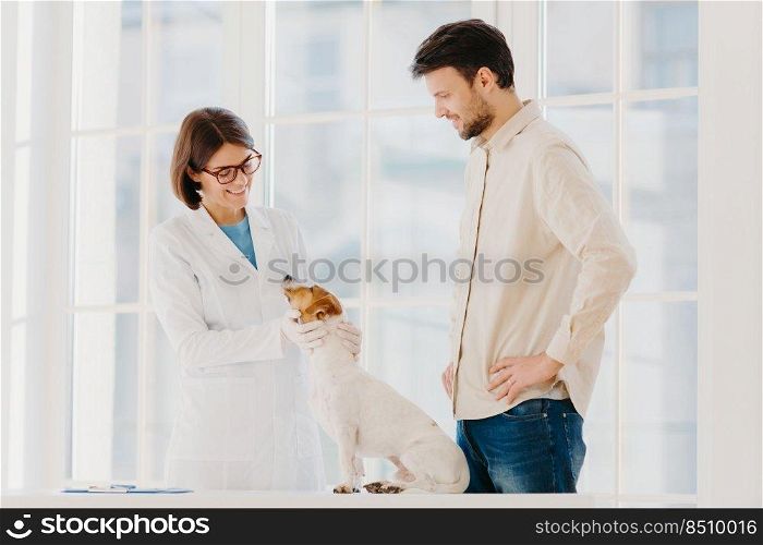 Happy experienced fema≤vet exami≠s jack russel terrier dog, gives advice how to care about animal. Ma≤pet ow≠r cures dog in clinic, chooses most professional veterianian. Medici≠for animals