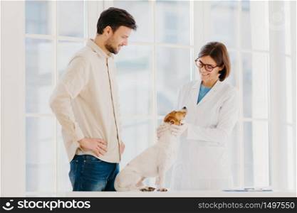 Happy experienced female vet examines jack russel terrier dog, gives advice how to care about animal. Male pet owner cures dog in clinic, chooses most professional veterianian. Medicine for animals