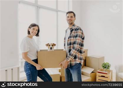 Happy family couple hold carton box with small puppy, stand indoor against big window, glad to become homeowners, unpack things in own apartment, looks gladfully at camera. Family moving day
