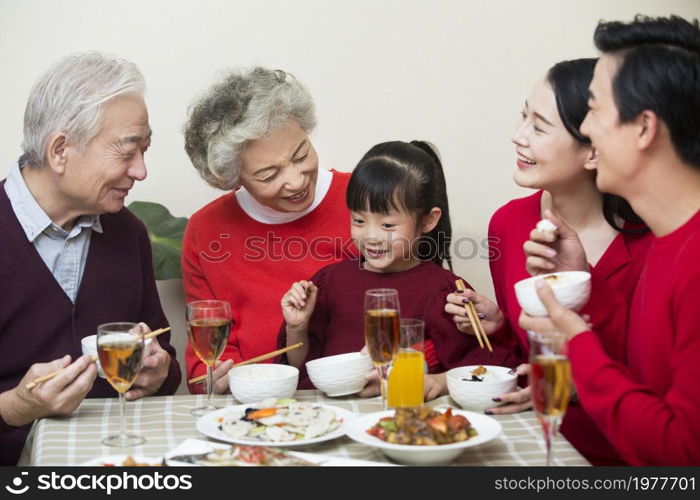 Happy family having New Year's reunion dinner