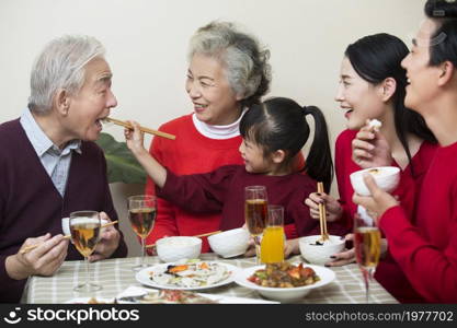 Happy family having New Year's reunion dinner