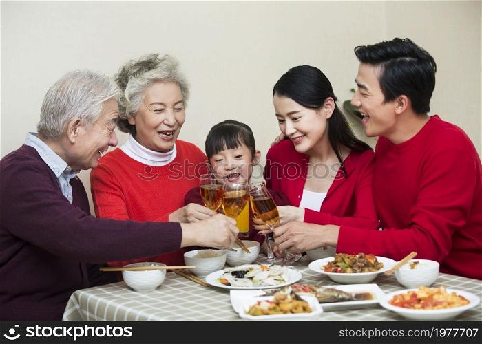 Happy family having New Year's reunion dinner