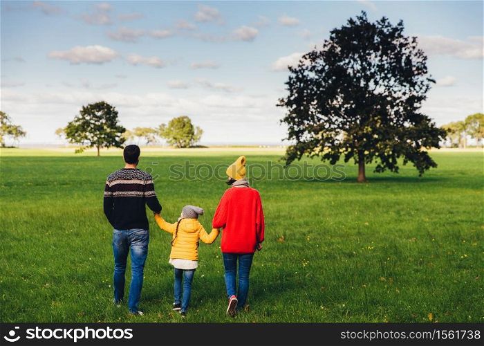 Happy family hold hands, walk on green meadow or field, stand back to camera, enjoy freedom, togetherness and beautiful landscapes. Spending family time together. Relaxation and leisure concept