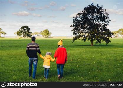 Happy family hold hands, walk on green meadow or field, stand back to camera, enjoy freedom, togetherness and beautiful landscapes. Spending family time together. Relaxation and leisure concept