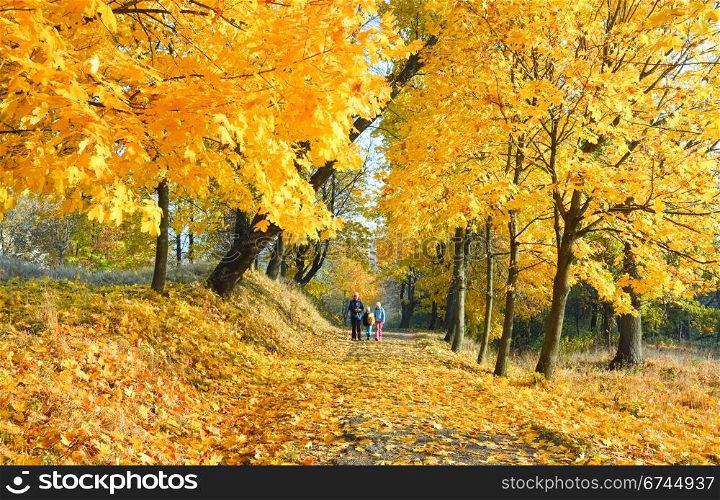 Happy family (mother with small children) walking in golden maple autumn park