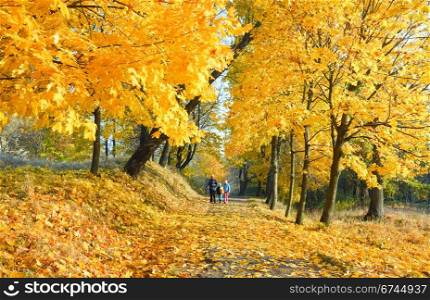Happy family (mother with small children) walking in golden maple autumn park