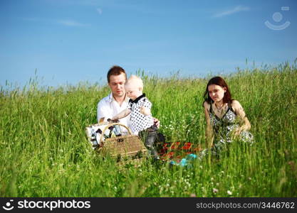 happy family on picnic in green grass