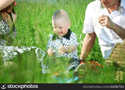 happy family on picnic in green grass