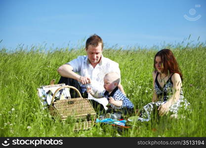 happy family on picnic in green grass