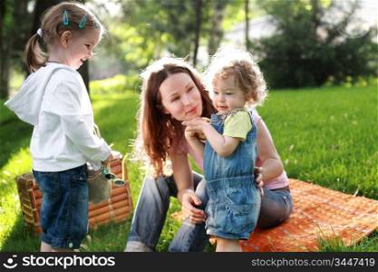 Happy family on picnic in summer park