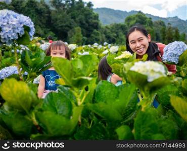 Happy family sitting on wood bridge in hydrangea garden over trees with mountains background under blue sky in summer day.