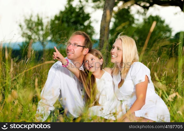 Happy family with daughter girl sitting in a meadow in summer