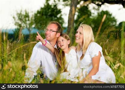 Happy family with daughter girl sitting in a meadow in summer