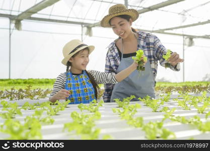 Happy farmer mom and daughter working in hydroponic greenhouse farm, clean food and healthy eating concept