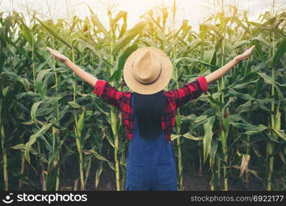 Happy farmer posing in the corn field