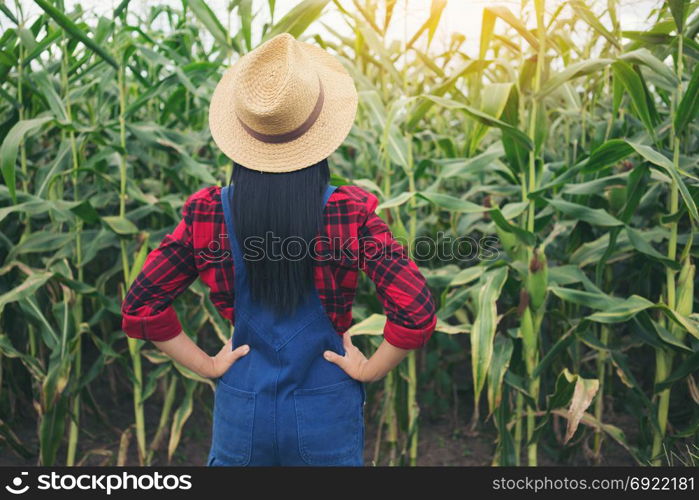 Happy farmer posing in the corn field