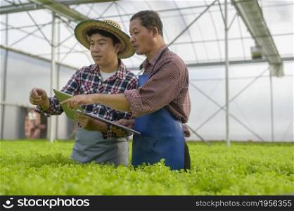 Happy farmers working using tablet in hydroponic greenhouse farm, clean food and healthy eating concept