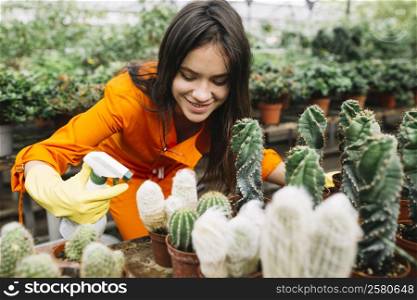 happy female gardener spraying water succulent plants