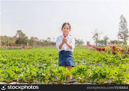 Happy girl child holding fresh red organic strawberries in the garden