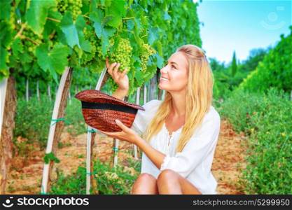 Happy girl on grape field, woman gardener sitting on the ground and picking grape bunches into the hat, organic food, enjoying great harvest, winemaking concept