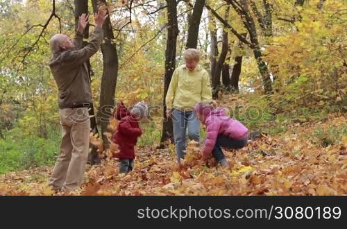 Happy grandparents and adorable grandchildren throwing yellow leaves in autumn park. Carefree elderly couple and smiling siblings playing with leaves outdoors while family enjoying freetime on a warm fall day. Slow motion.