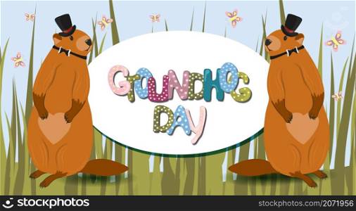 Happy groundhog Day. horizontal banner of marmots. Text lettering for greeting card. Vector cartoon illustration. Cute marmot day poster as a funny woodchuck cartoon. February 2.. Happy groundhog Day. horizontal banner of marmots. Text lettering for greeting card. Vector cartoon illustration. Cute marmot day poster as a funny woodchuck cartoon. February 2