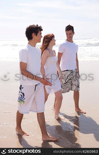 Happy group of friends at the beach