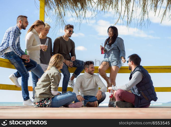 Happy Group Of Friends Hanging Out At Beach House having fun and drinking beer on autumn day. Group of friends having fun on autumn day at beach