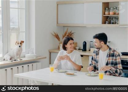 Happy husband and wife have pleasant talk while have breakfast in kitchen, enjoy weekend, dressed in domestic clothes, eat delicious meal, their favourite dog poses on windowsill near. Family, meal