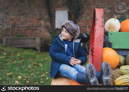 Happy kid sitting on big pumpkin patch,Cute boy having fun playing outdoor in Autumn park. Child playing outside for trick or teat on halloween. Harvest or Thanksgiving Festive season in October