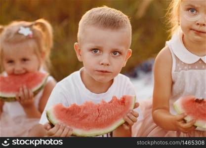 happy kids eating watermelon in summer at sunset in the field. summer picnic. happy childhood. selective focus. happy kids eating watermelon in summer at sunset in the field. summer picnic. happy childhood. selective focus.