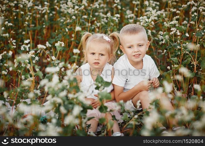 happy kids having fun in a flowering field. happy childhood. happy kids having fun in a flowering field. happy childhood.