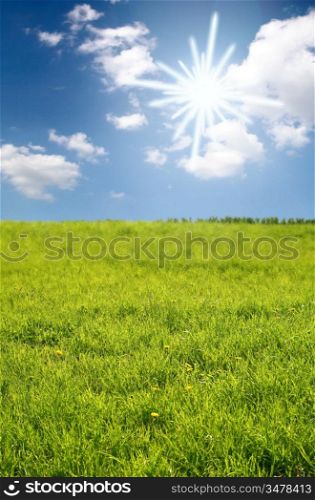 happy landscape sky and grass